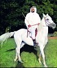 Bain Al Jisrain - Al Maqtaa to be renamed Rabdan after famous purebred Arabian horse and Ras Ghurab Island to be renamed Al Alya