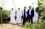 Elite Agro Holding opens seventh farm in Moroccan, investments exceed AED500 million