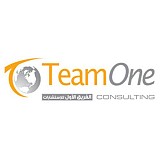TeamOne Consulting TeamOne Consulting
