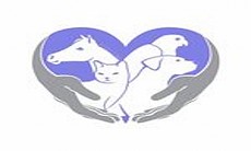 عيادة النخبة البيطرية عيادة النخبة البيطرية